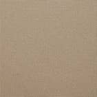 Canvas Antique Beige