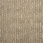 Desert Reed