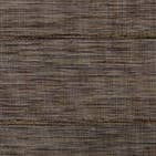 Hawaai Chestnut