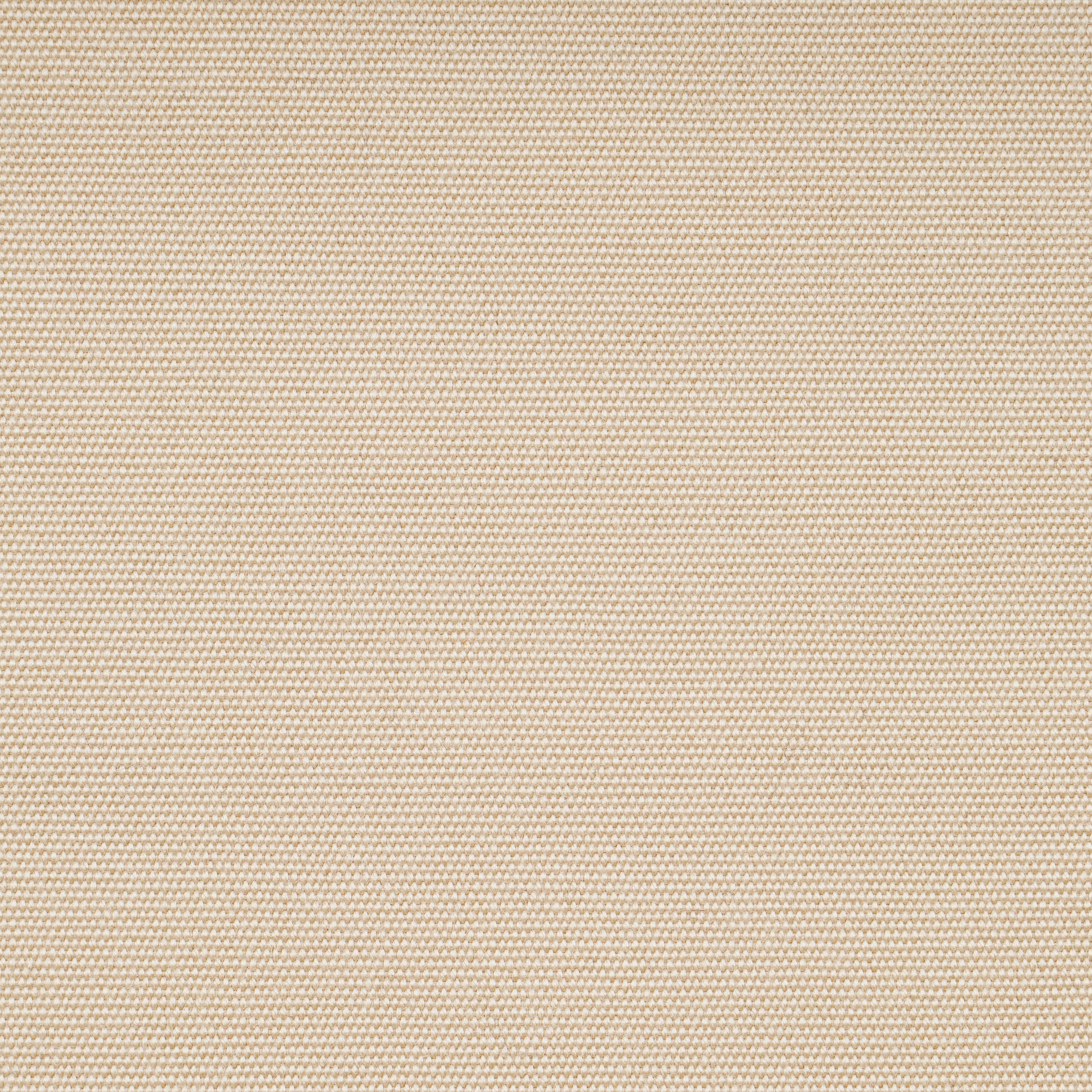Canvas Antique Beige
