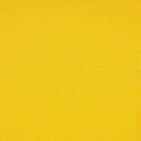 Canvas Sunflower