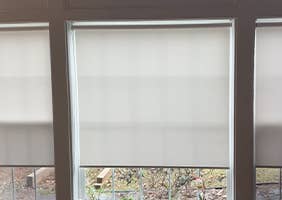 Roller Shades CA 2